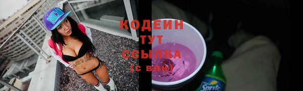 метадон Богданович