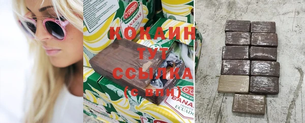 метадон Богданович