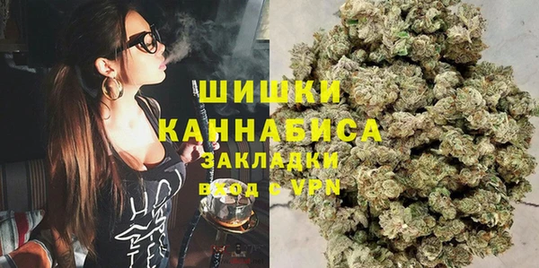 PSILOCYBIN Бугульма