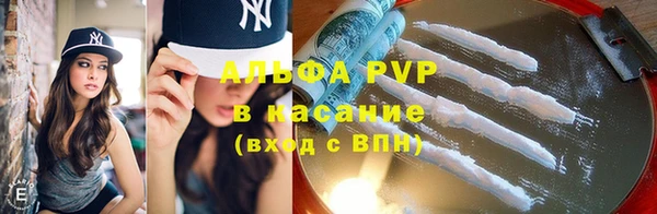 метадон Богданович