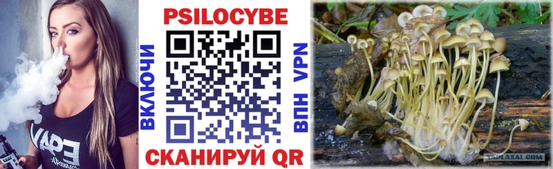 Псилоцибиновые грибы GOLDEN TEACHER  Купить закладки  Няндома 